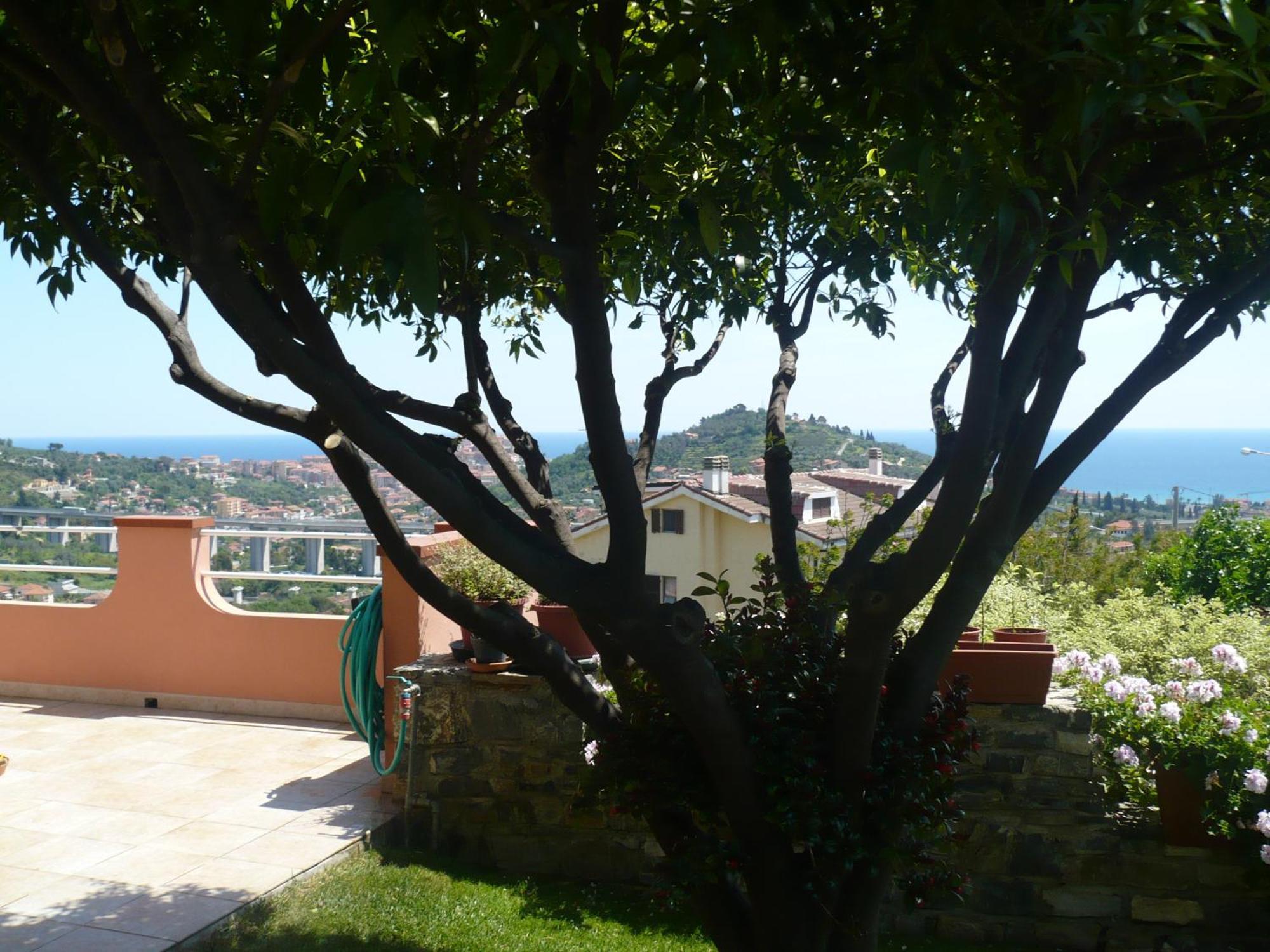 Azienda Agrituristica Villa Arianna Imperia Exterior photo